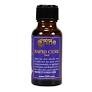Gale Force 9: Rapid Cure (20ml) GF902